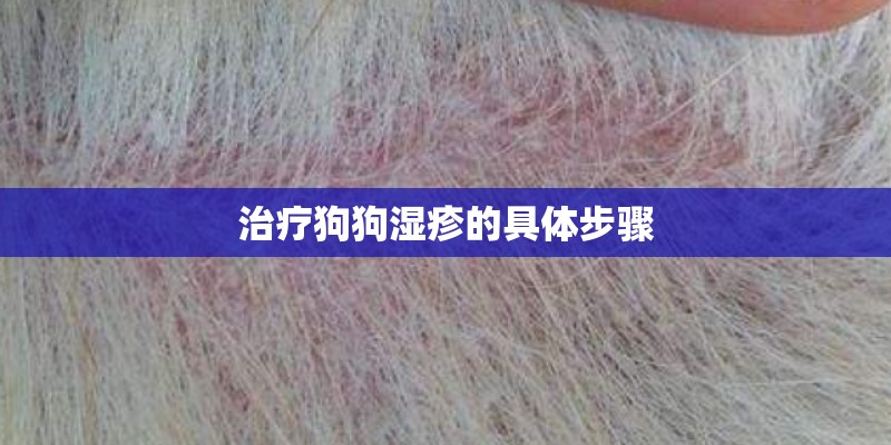 治疗狗狗湿疹的具体步骤