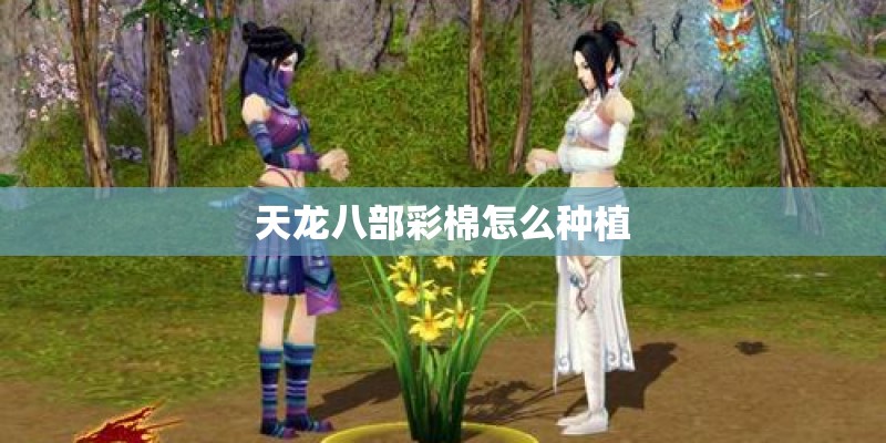 天龙八部彩棉怎么种植