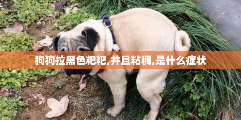 电线的品牌的十大排名 电线的品牌的十大排名