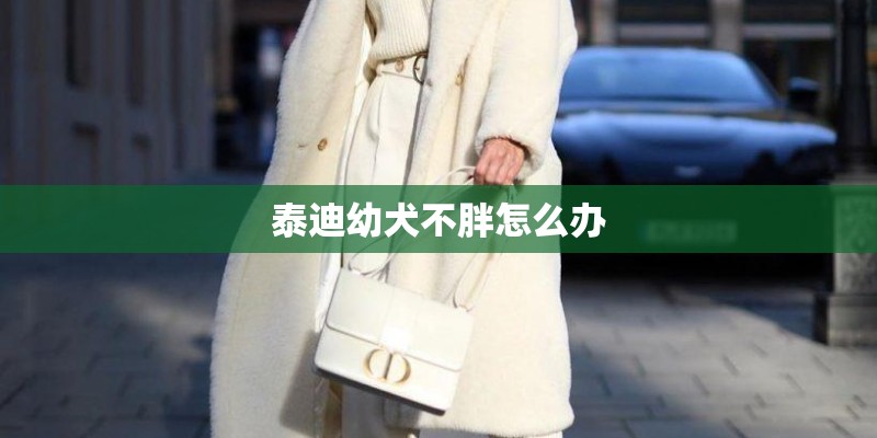 泰迪幼犬不胖怎么办