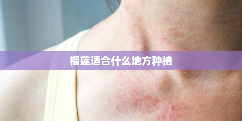 榴莲适合什么地方种植