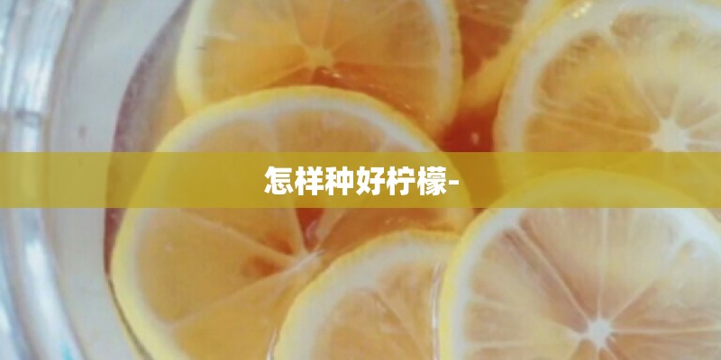 怎样种好柠檬-