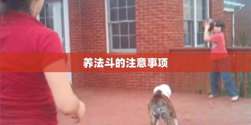 养法斗的注意事项