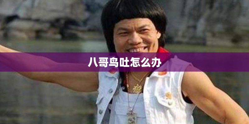 八哥鸟吐怎么办