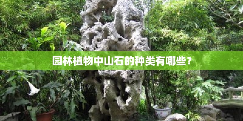 园林植物中山石的种类有哪些？