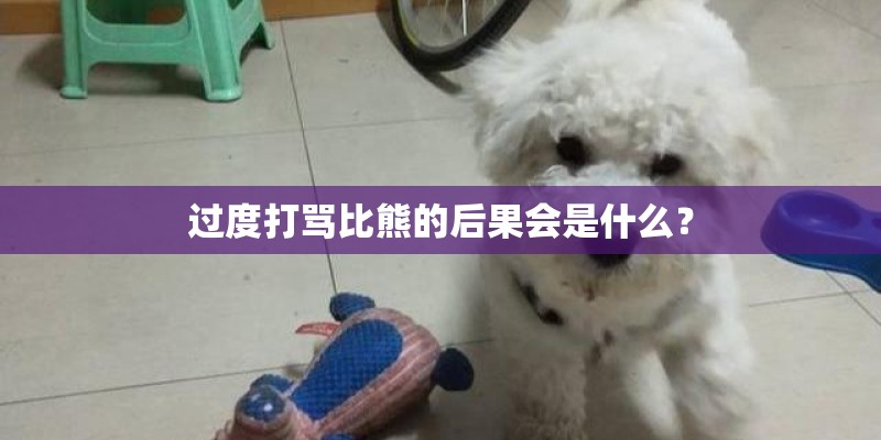 过度打骂比熊的后果会是什么？