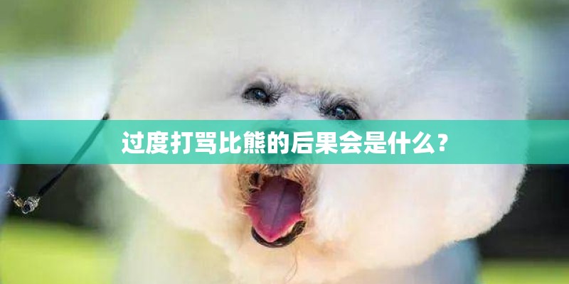过度打骂比熊的后果会是什么？