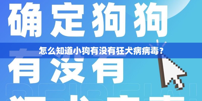 怎么知道小狗有没有狂犬病病毒？