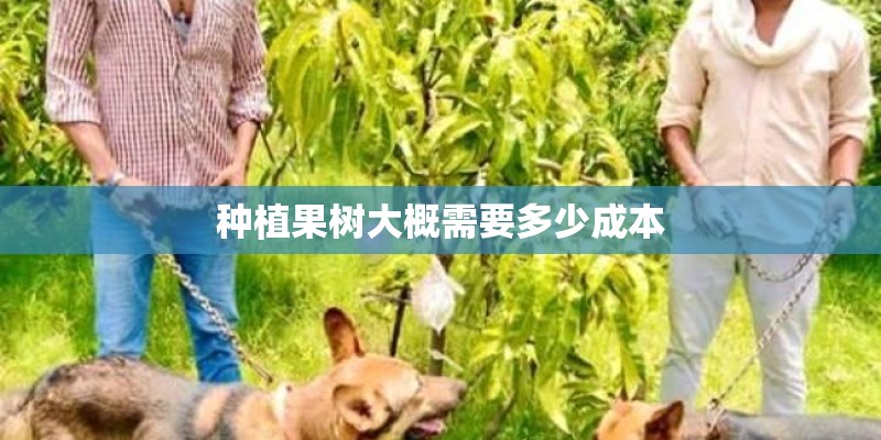 种植果树大概需要多少成本