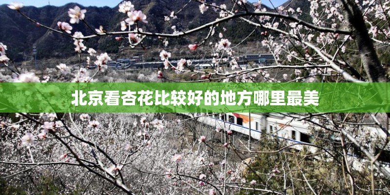 北京看杏花比较好的地方哪里最美 北京看杏花比较好的地方哪里最美