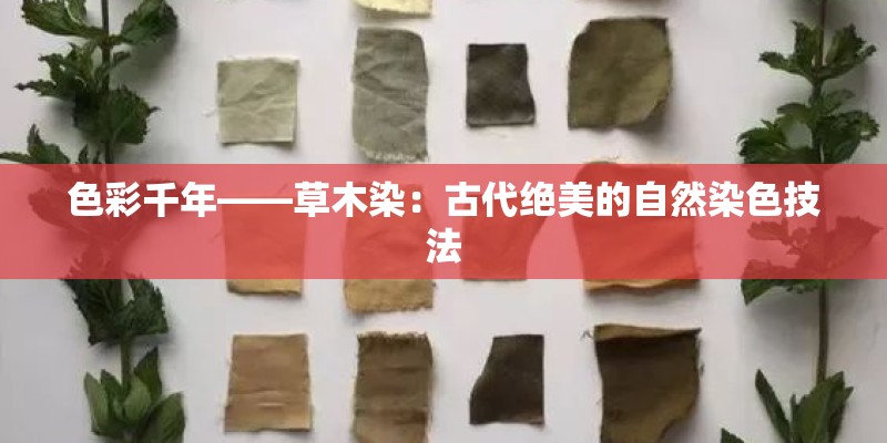 色彩千年——草木染：古代绝美的自然染色技法