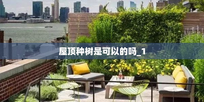 屋顶种树是可以的吗_1