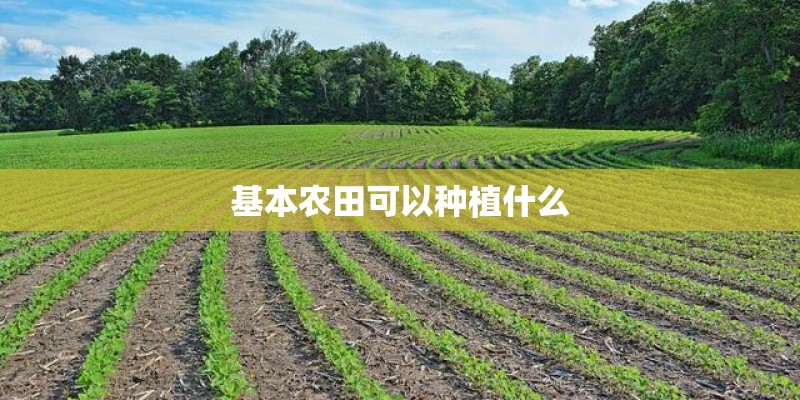 基本农田可以种植什么