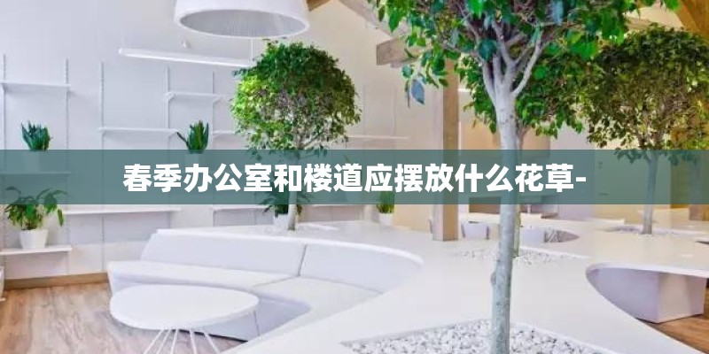 春季办公室和楼道应摆放什么花草-