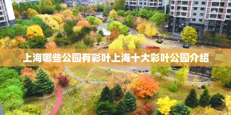 上海哪些公园有彩叶上海十大彩叶公园介绍