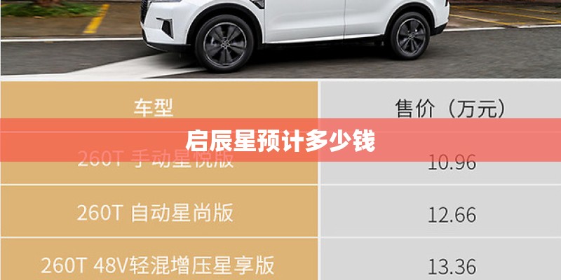 启辰星预计多少钱