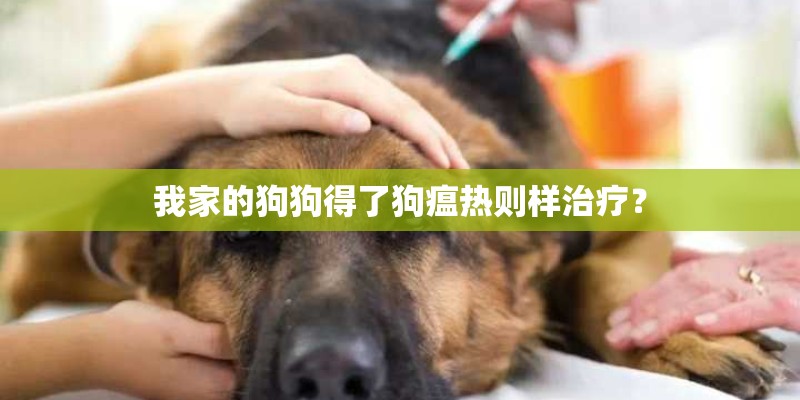 我家的狗狗得了狗瘟热则样治疗？