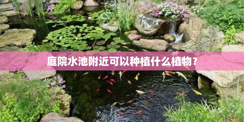 庭院水池附近可以种植什么植物? 庭院水池附近可以种植什么植物?
