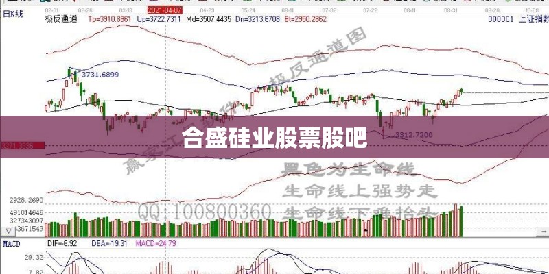 合盛硅业股票股吧