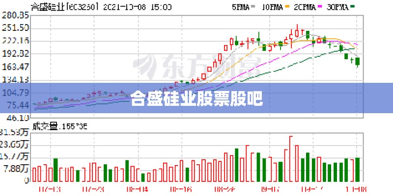 合盛硅业股票股吧