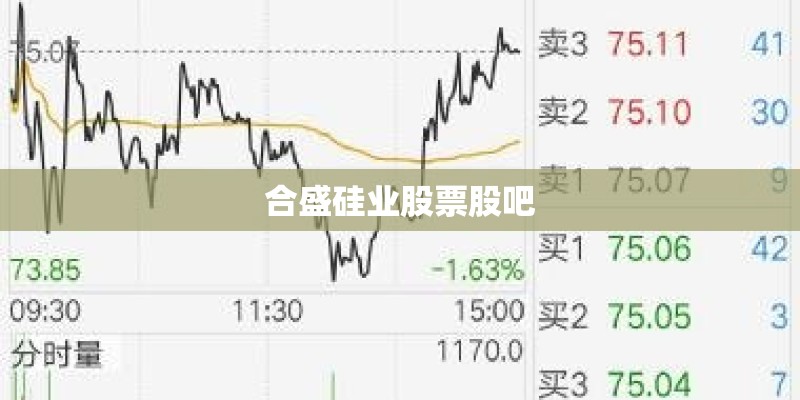 合盛硅业股票股吧