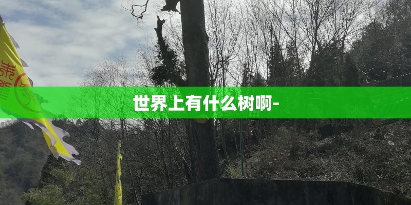 世界上有什么树啊-