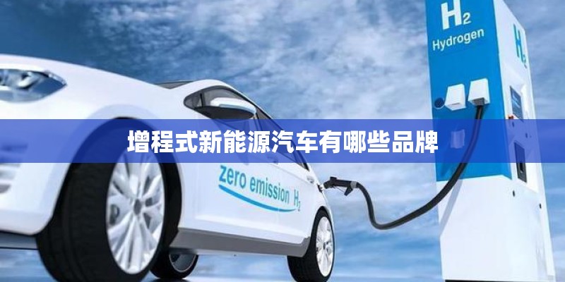 增程式新能源汽车有哪些品牌