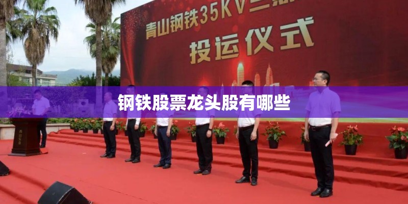 钢铁股票龙头股有哪些