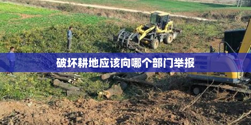 破坏耕地应该向哪个部门举报