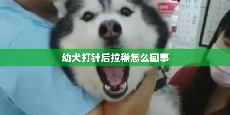幼犬打针后拉稀怎么回事