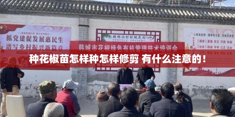 种花椒苗怎样种怎样修剪 有什么注意的！