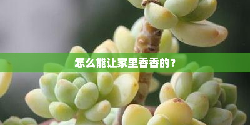 怎么能让家里香香的？
