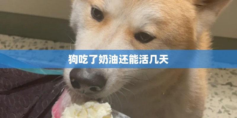 狗吃了奶油还能活几天