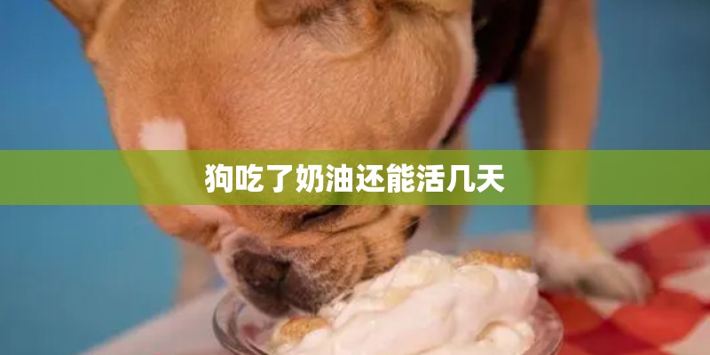 狗吃了奶油还能活几天