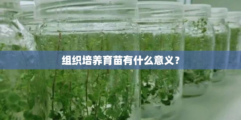 组织培养育苗有什么意义? 组织培养育苗有什么意义?
