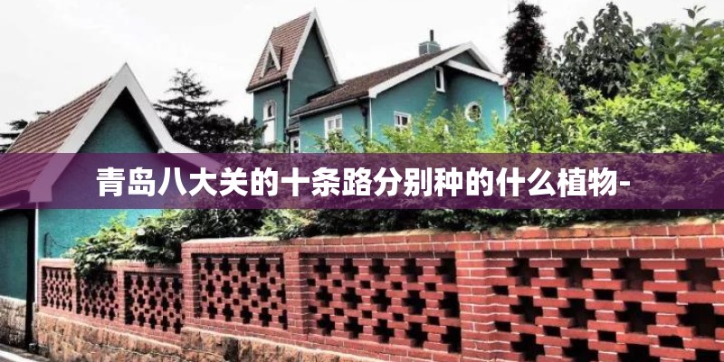 青岛八大关的十条路分别种的什么植物-