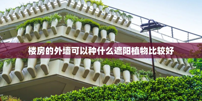 楼房的外墙可以种什么遮阳植物比较好 楼房的外墙可以种什么遮阳植物比较好