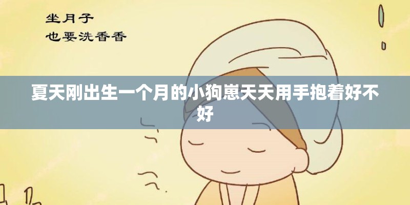 夏天刚出生一个月的小狗崽天天用手抱着好不好
