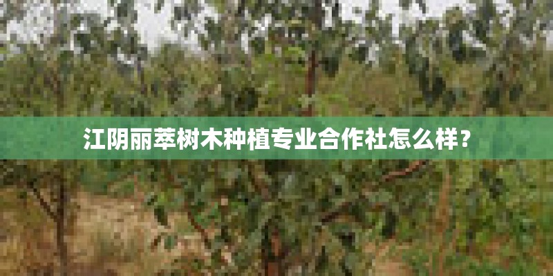 江阴丽萃树木种植专业合作社怎么样？