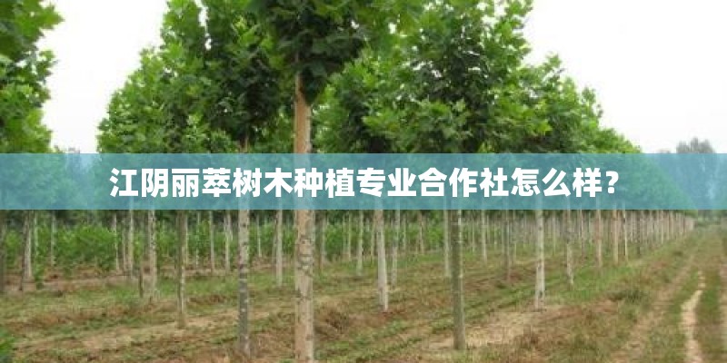 江阴丽萃树木种植专业合作社怎么样？