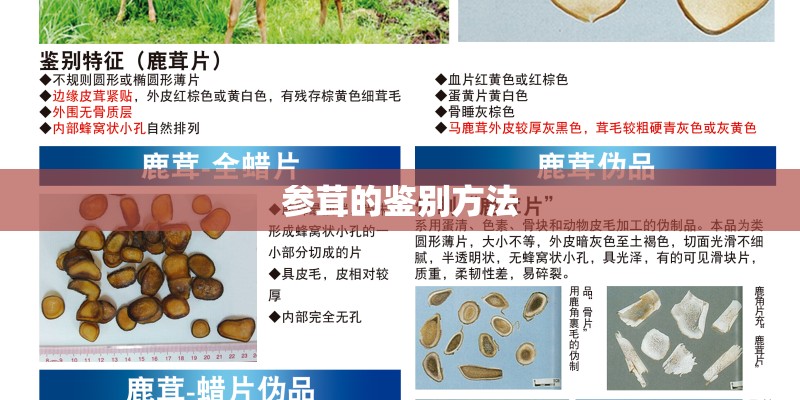 参茸的鉴别方法