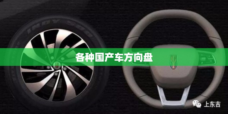 各种国产车方向盘