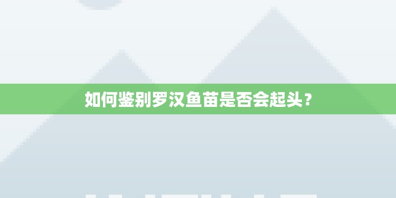 如何鉴别罗汉鱼苗是否会起头？