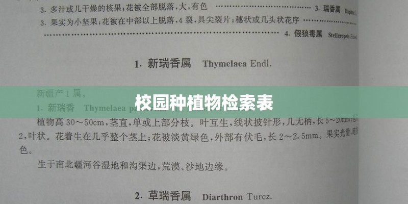 校园种植物检索表