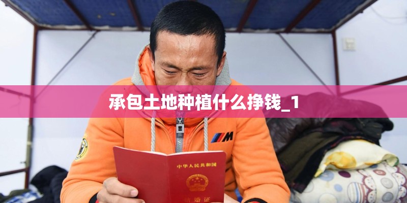 承包土地种植什么挣钱_1