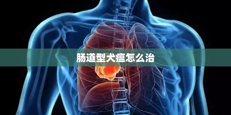 肠道型犬瘟怎么治