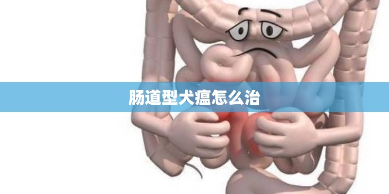 肠道型犬瘟怎么治