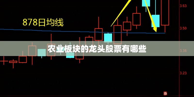 农业板块的龙头股票有哪些