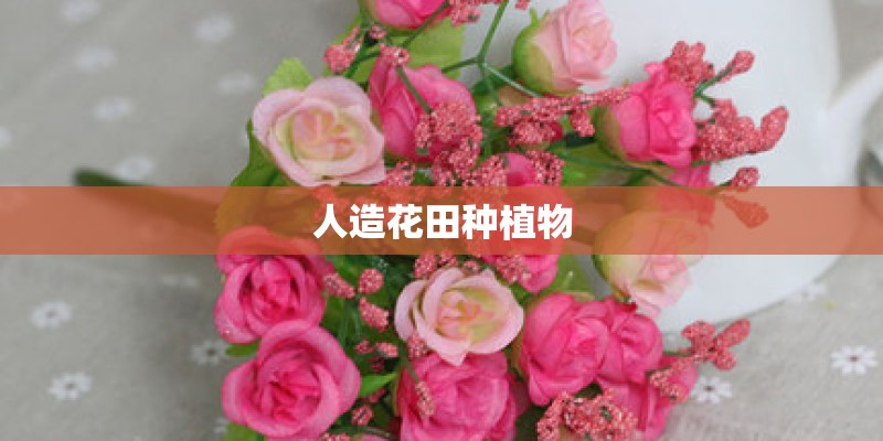 人造花田种植物
