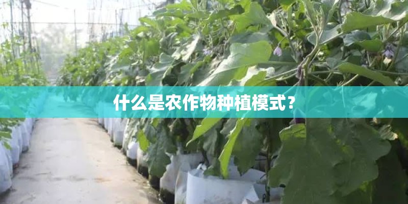 什么是农作物种植模式？